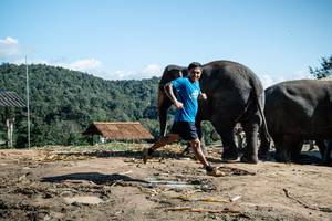 BIB: 
                            <button type="button" onclick="openModal(22423656)" class="btn btn-primary btn-sm float-right btn-popup" data-toggle="modal" data-target=".modal-high-quality">
                        <i class="fas fa-shopping-cart"></i> Add to Cart
                    </button>
                                            <button type="button" onclick="isThisMe(22423656, true)" class="btn btn-success btn-sm float-right btn-popup btn-isme hidden" data-toggle="tooltip" data-placement="bottom" title="นี่คือรูปของคุณใช่ไหม คลิกที่นี่เพื่อเอาเข้าอัลบั้ม">
                        <i class="fas fa-plus"></i> Add to album
                    </button>
                    <button type="button" onclick="isThisMe(22423656, false)" class="btn btn-warning btn-sm float-right btn-popup btn-isnotme hidden">
                        <i class="fas fa-ban"></i> Remove from album
                    </button>